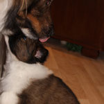 Mamilein, hab dich lieb