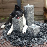Delisha will Brunnen austrinken