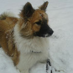 Nala-Dominga hat nun auch Schnee