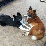 Delisha und Baduni