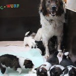 tolle Mama!