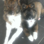 Alina und Amy