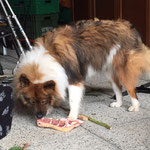 Cherina läßt es sich schmecken