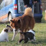Mamas Schweser Aponi ist auch am WE bei uns
