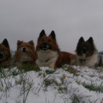 wir lieben Schnee