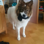 wieee, ich soll deine Socken nicht klauen
