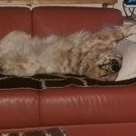 Adina macht es sich bequem