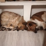 Barani hat uns besucht