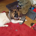 Darinjo liebt Schuhe, trotz vielem Spielzeug