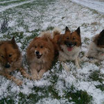 SCHNEEEE