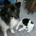 Danilo mit Bruder Baran 