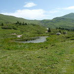runter nach Peist 1244m