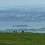 Hoch über dem Zürichsee