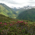 Madrisa - Schlappiner-Joch 2202m