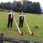Alphornduo Widenbad, Meilen
