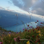 Tolle Aussicht