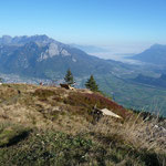 Schwarzbüel 1732m, Richtung Gonzen Rheintal