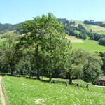 Es war eine tolle Wanderung