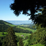 Zürcher Oberland