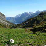 Richtung Schwialppass, Wägitalersee