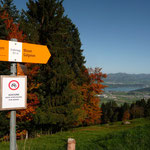 Galgenen - Ruchweid