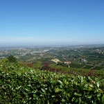 Der Blick von B&B Da Rosa