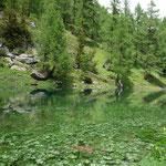Seewlin