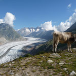Fiescheralp