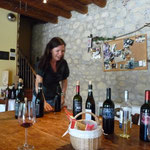 Weindegustationn beim Bruno im Valpolicella