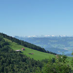 Zürichsee mit Urneralpen