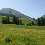 Wiriehorn