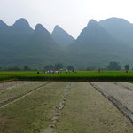 Guilin: idéale pour les randonneurs avec ses rizières en terrasses à perte de vue  à Longsheng et ses paysages magnifiques à Yangshuo