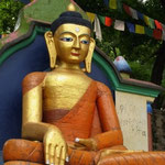 Buddha...