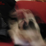 Casio Exilim EX-FC100, mit Blitz, Hund in Bewegung fotografiert