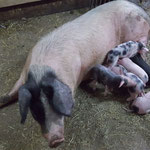 Friedliche Mutter