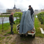 Le Champicomposteur et les Jardiniers du Potager du Roi