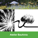 Le Site de Claude Pasquer