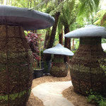 Le sous bois des Champicomposteurs