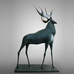 Pierre Yermia, sculpture en bronze, cerf. autres dimensions sur commande