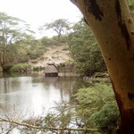 Mzima Springs