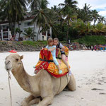 Kamelreiten am Strand