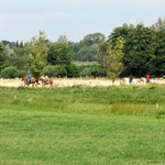 Freizeitreiter im Krummesser Moor