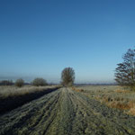 Am Ende der Moorhauptweges