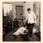 Lange Reihe 24: Das Schwein ist tot ...