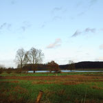 Landunter im Moor nach tagelangem Starkregen - 24. Dez. 2014