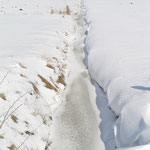 Ostwind - Winter 2007