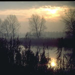 Abendstimmung am Elbe-Lübeck-Kanal