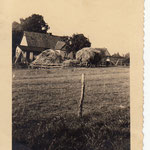 Lange Reihe 24: Blick von der Hauskoppel 