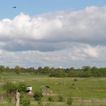 Blick ins Krummesser Moor
