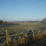Blick nach West vom Verbindungsweg
